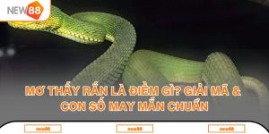 mơ thấy rắn