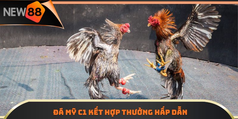 Đá Mỹ C1 kết hợp thưởng hấp dẫn